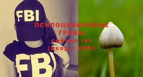 ALPHA PVP Магас