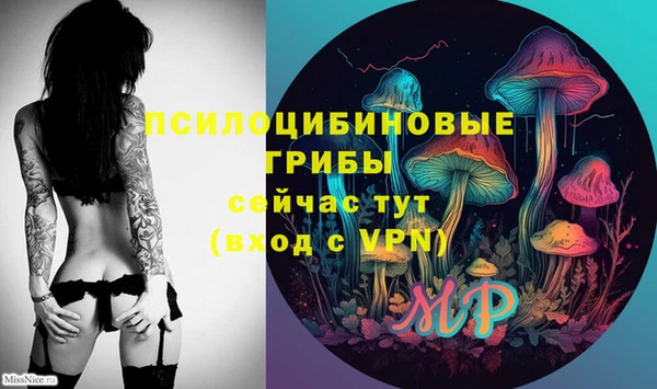 гидра Майский
