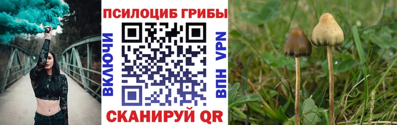 цены наркотик  Каргополь  Галлюциногенные грибы Magic Shrooms 