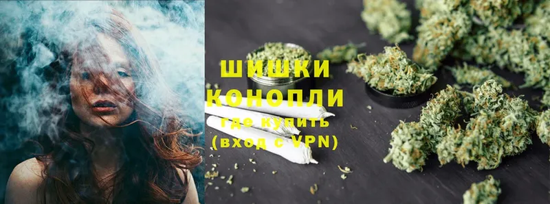 Бошки марихуана THC 21%  MEGA рабочий сайт  Каргополь 